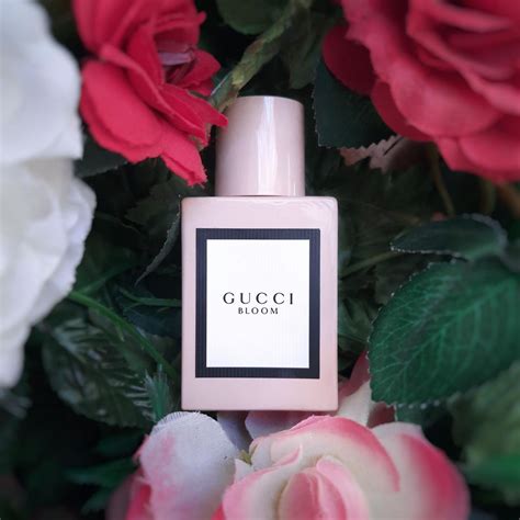 profumo gucci dolce|Gucci bloom 2017.